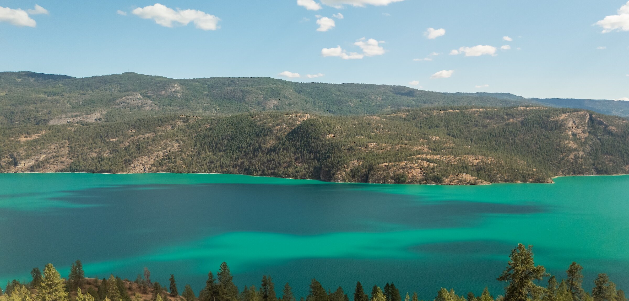 Panoramic view of the vibrant turquoise and emerald waters of Kalamalka Lake framed by pine trees and mountains at the Okanagan Gondola