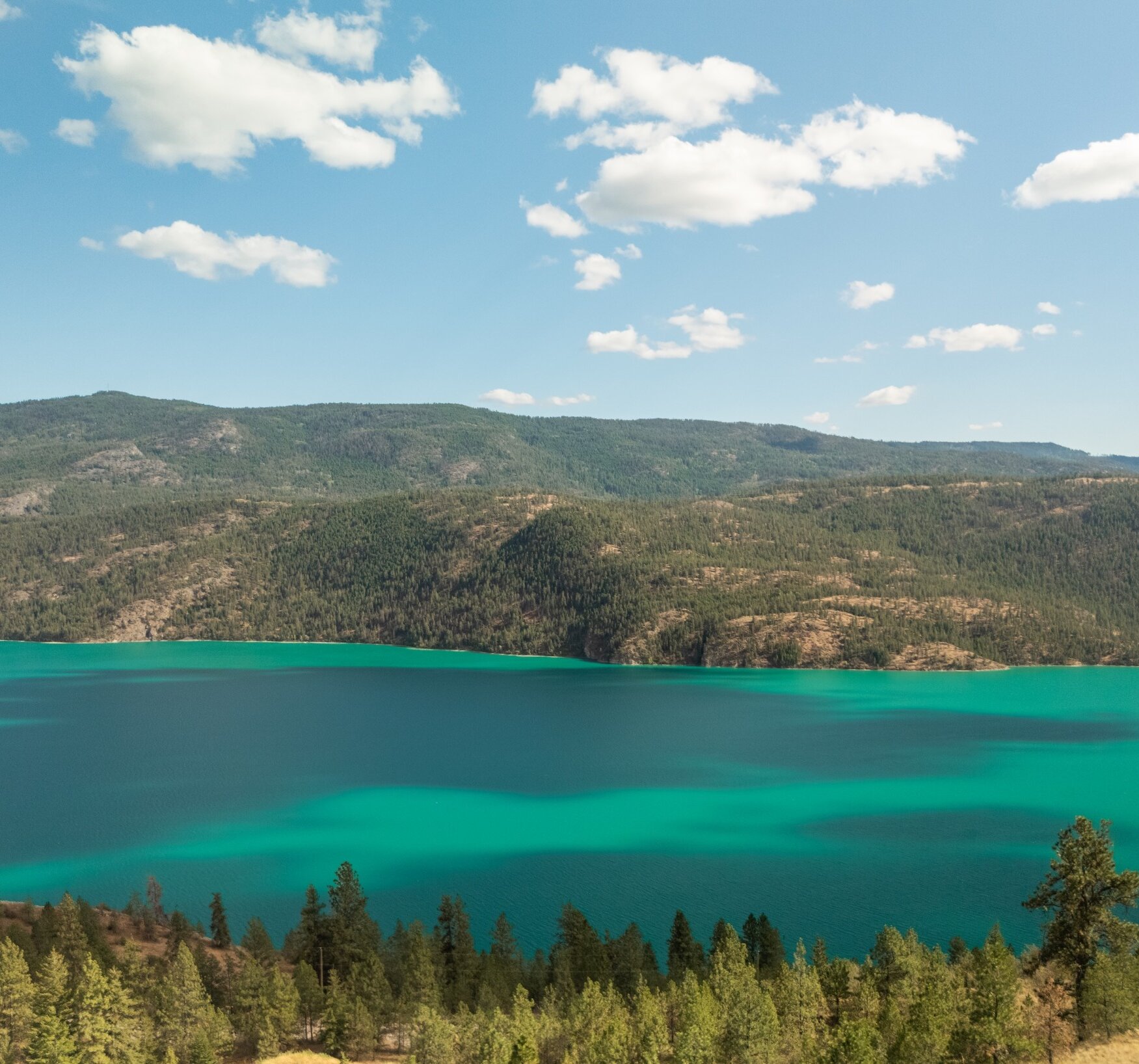 Panoramic view of the vibrant turquoise and emerald waters of Kalamalka Lake framed by pine trees and mountains at the Okanagan Gondola