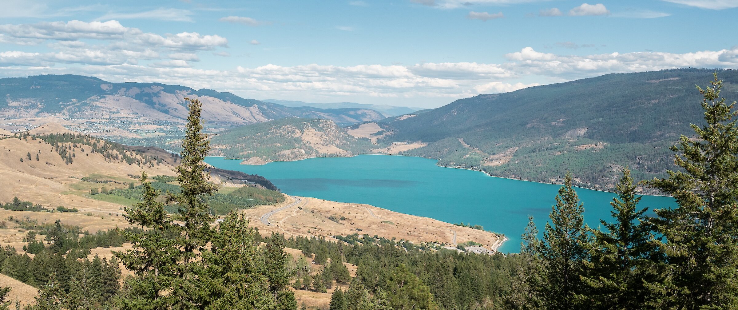 High-angle scenic vista of Kalamalka Lake and the surrounding Okanagan valley framed by evergreen trees at the Okanagan Gondola