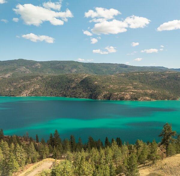 Panoramic view of the vibrant turquoise and emerald waters of Kalamalka Lake framed by pine trees and mountains at the Okanagan Gondola