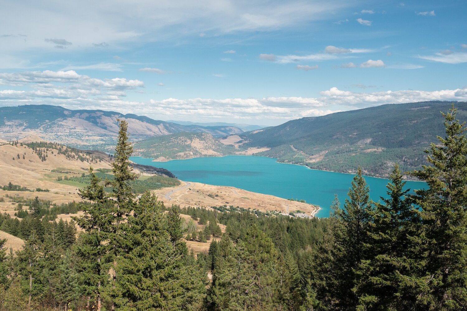 High-angle scenic vista of Kalamalka Lake and the surrounding Okanagan valley framed by evergreen trees at the Okanagan Gondola