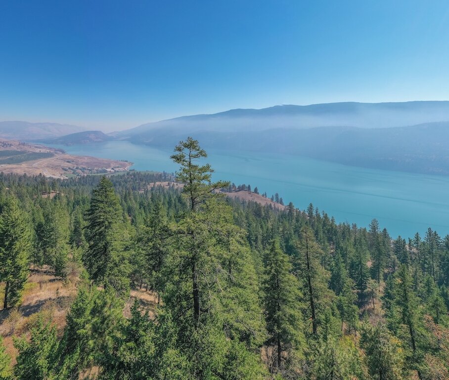 Aerial mid-mountain view of dense evergreen pine forest overlooking the turquoise waters of Kalamalka Lake at Okanagan Gondola