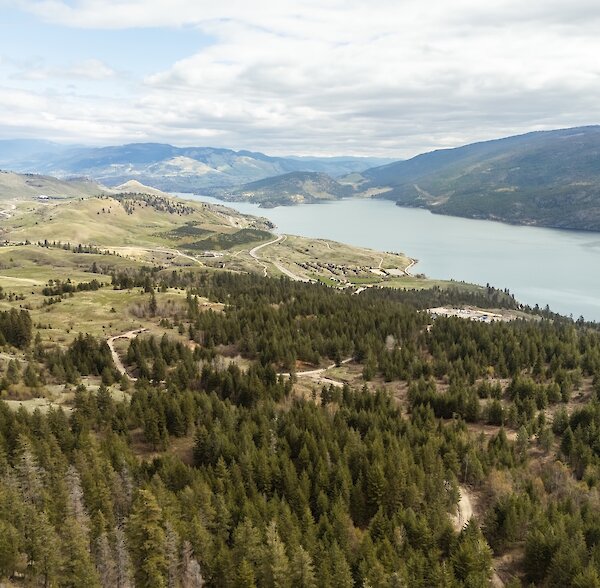 Aerial drone view of Kalamalka Lake and surrounding pine forests from the Okanagan Gondola site in British Columbia